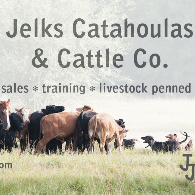 Business card for Jelks Catahoulas